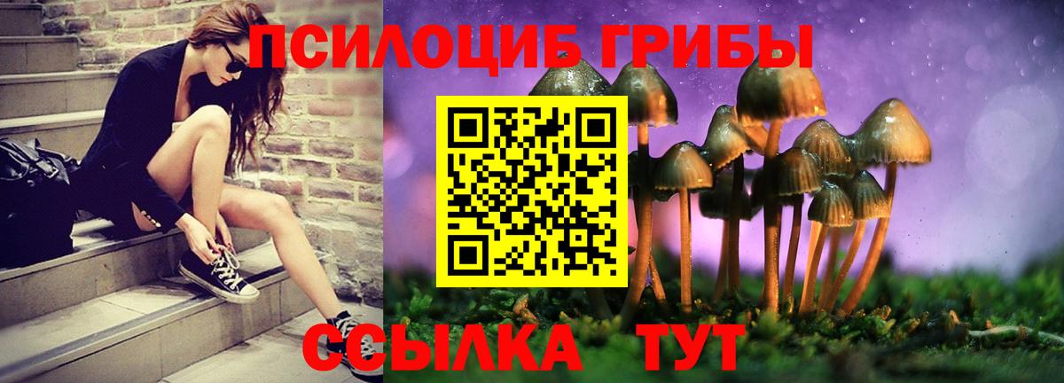Псилоцибиновые грибы Psilocybine cubensis Славянск-на-Кубани