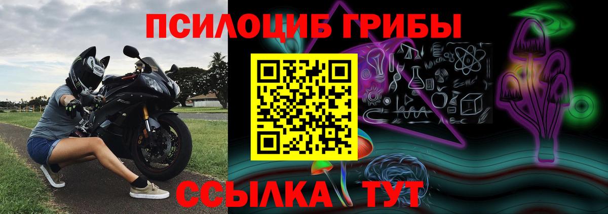 Славянск-на-Кубани  продажа наркотиков  Вход с VPN  Галлюциногенные грибы MAGIC MUSHROOMS 